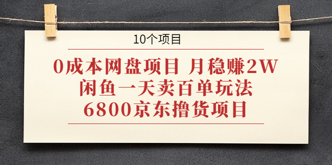 （1928期）0成本网盘项目 月稳赚2W+闲鱼一天卖百单玩法+6800京东撸货项目 (10个项目)-副业库