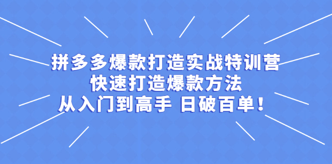 （2237期）拼多多爆款打造实战特训营：快速打造爆款方法，从入门到高手 日破百单-副业库