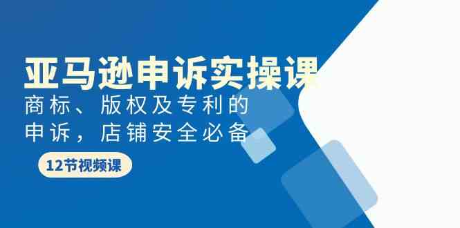 （9754期）亚马逊-申诉实战课，​商标、版权及专利的申诉，店铺安全必备-副业库