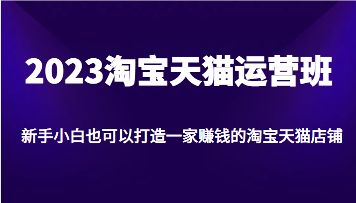 2023淘宝天猫运营班，新手小白也可以打造一家赚钱的淘宝天猫店铺-副业库