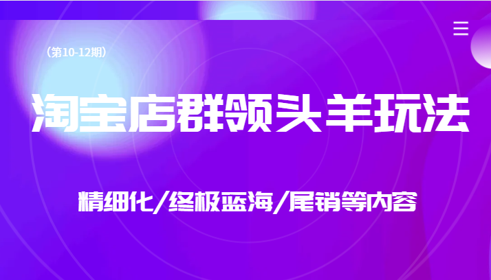 淘宝店群领头羊玩法，精细化/终极蓝海/尾销等内容（第10-12期）-副业库