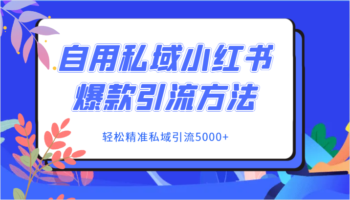 自用私域小红书爆款引流方法，轻松精准私域引流5000+-副业库