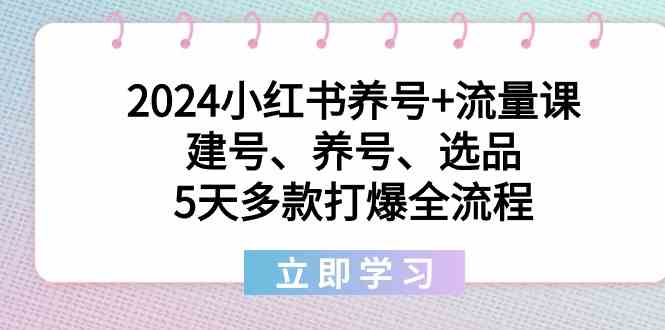 2024小红书养号+流量课：建号、养号、选品，5天多款打爆全流程-副业库
