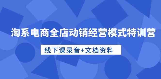 淘系电商全店动销经营模式特训营，线下课录音+文档资料-副业库