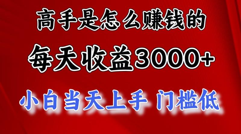 高手是怎么赚钱的，一天收益3000+，闷声发财项目，不是一般人能看懂的-副业库