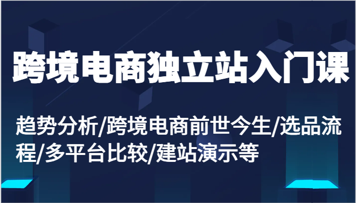 跨境电商独立站入门课：趋势分析/跨境电商前世今生/选品流程/多平台比较/建站演示等-副业库
