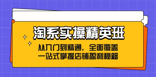 淘系实操精英班：从入门到精通，全面覆盖，一站式掌握店铺盈利秘籍-副业库