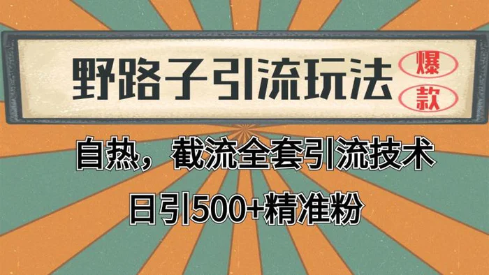 抖音小红书视频号全平台引流打法，全自动引流日引2000+精准客户-副业库
