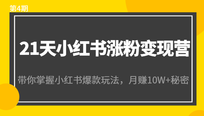 21天小红书涨粉变现营（第4期）：带你掌握小红书爆款玩法，月赚10W+秘密-副业库