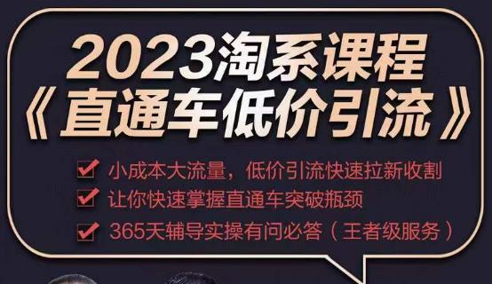 2023直通车低价引流玩法课程，小成本大流量，低价引流快速拉新收割，让你快速掌握直通车突破瓶颈-副业库