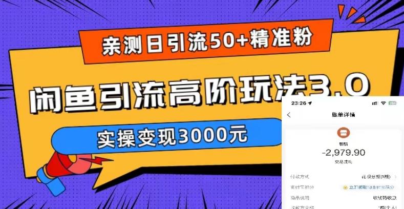 亲测日引50+精准粉，闲鱼引流高阶玩法3.0，实操变现3000元【揭秘】-副业库