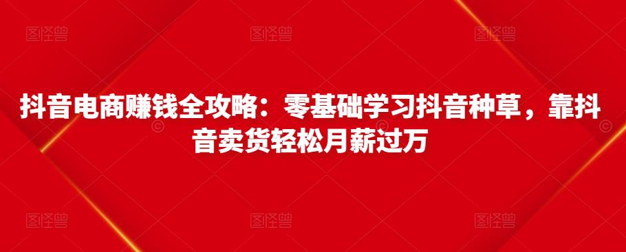 抖音电商赚钱全攻略：零基础学习抖音种草，靠抖音卖货轻松月薪过万-副业库