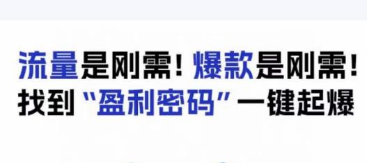 电商盈利精品课：6大盈利密码让产品更好卖，流量是刚需！爆款是刚需！找到”盈利密码”一键起爆-副业库