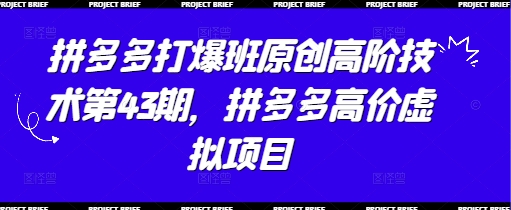 拼多多打爆班原创高阶技术第43期，拼多多高价虚拟项目-副业库